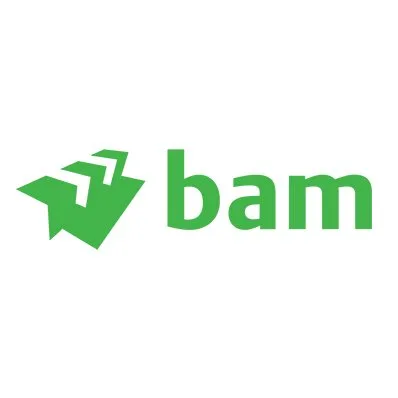Bam logo